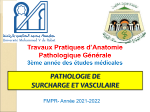 Anatomie Pathologique: Surcharge et Vasculaire - Travaux Pratiques