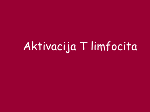 Activation of T lymphocytes