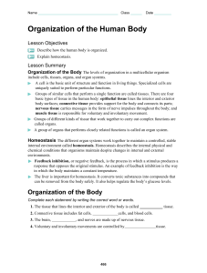 Organization of the Human Body Guided Reading