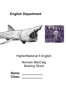 Basking Shark Workbook -Filled In