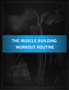 Copy of Muscle Building Workout Routine