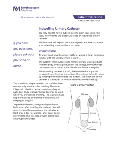 Indwelling Urinary Catheter Care Guide