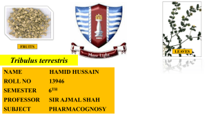 13946-HAMID HUSSAIN