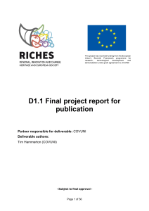 RICHES-D1.1-Final-project-report-for-publication public
