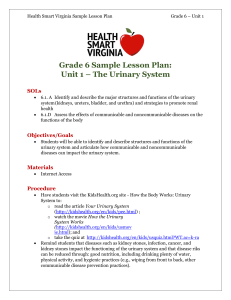 gr6- bod-1-urinary-system (1)