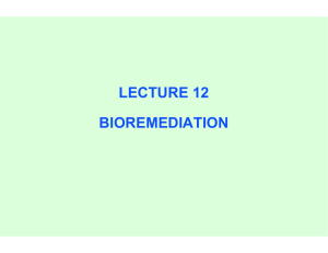 6.2.3 (bioremediation)