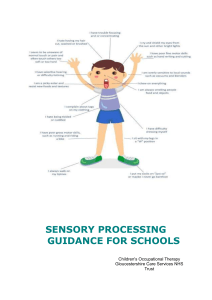 sensory processing guidance for schools