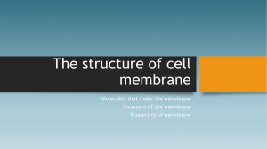 The structure of cell membrane