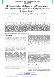 phytoremediation