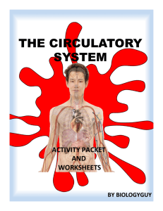 CirculatorySystemActivityPacketandWorksheets-1