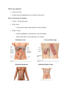 Abdominal Assessment Notes