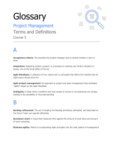 Project Management Glossary