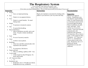 Respiratory System Exam and Documentation