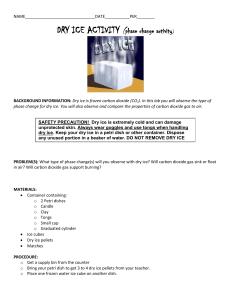 Dry Ice Lab (Phase Changes)