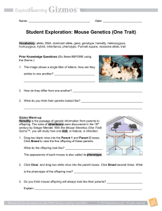 Mouse Genetics Worksheet: One Trait Inheritance