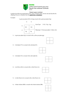 punnett square practice - worksheet 1
