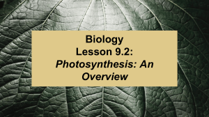 Biology 9.2 Ppt (1)