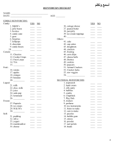 Reinforcer Checklist