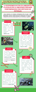 Verde y Rojo Ilustrado Infografía de Proceso
