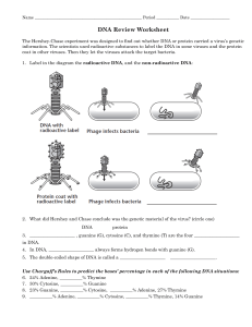DNA Hershey and Chase 1952 worksheet