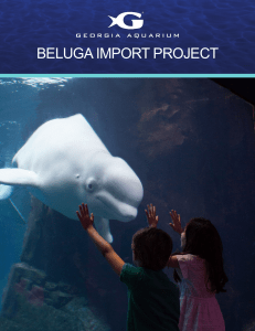 Beluga Import Project Media Kit