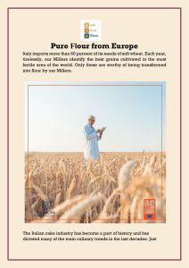 Pure Flour from Europe: Quality, Safety and Versatility