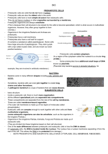 Cell Biology: Prokaryotic & Eukaryotic Cells