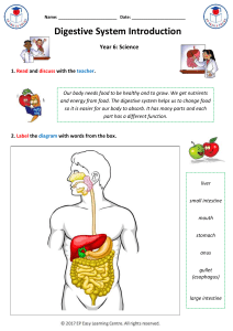 digestive system introduction