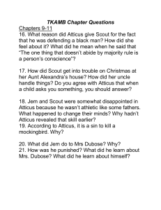 To Kill a Mockingbird Chapters 9-11 Questions