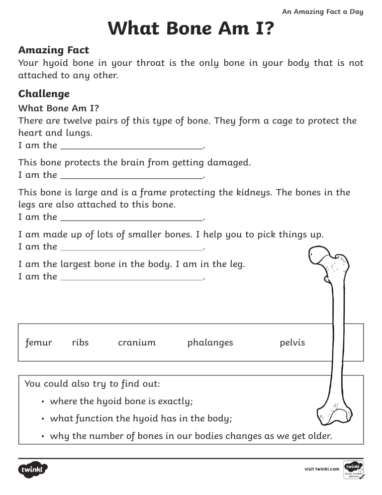 t-t-2547096-which-bone-am-i-activity-sheet