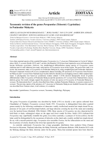 Taxonomic revision of the genus Poropuntius (Teleostei - Cyprinidae) in Peninsular Malaysia – Muhammad-Rasul et al. (2018)