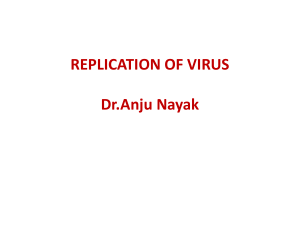 Replication-of-Virus