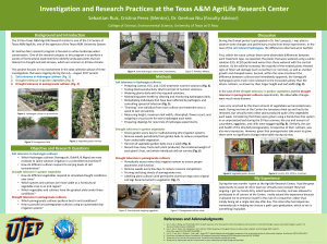 Texas A&M AgriLife Research Center Internship Results 