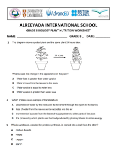 Grade 8 Biology Plant Nutrition Worksheet