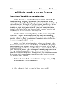 Cell Membrane Worksheet