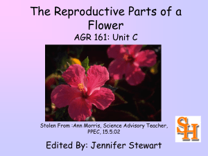 REPRODUCTIVE PARTS OF A FLOWER