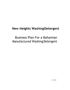 Washing detergent business plan