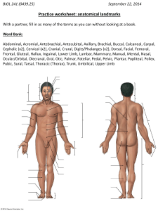 2014 09 22 handout anatomical landmarks