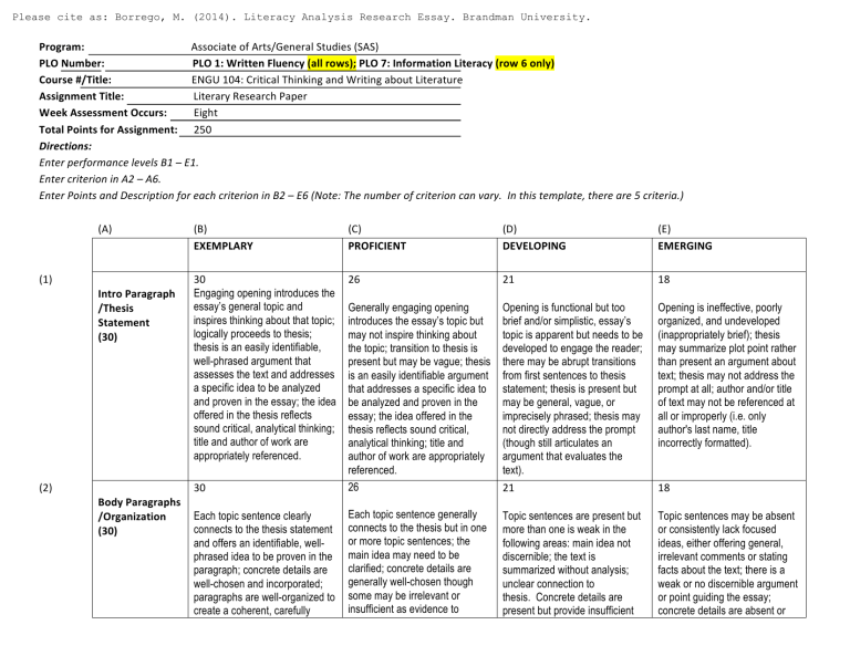 Borrego Rubric