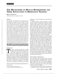 The Mechanisms of Muscle Hypertrophy and Their Application to Resistance Training