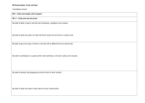 B2 hints and tips