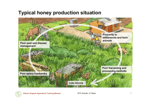 African Beekeeping Training Manual