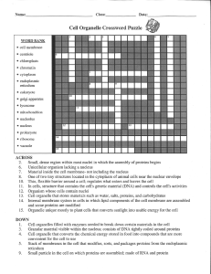 cell organelle crossword