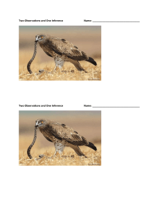 Observation & Inference Worksheet: Bird & Snake