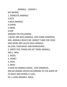 ANIMALS NOTES