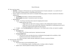 Ch. 25- Muscle Relaxants