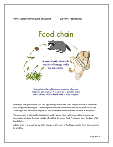 ECOLOGY- FOOD CHAINS AND WEBS
