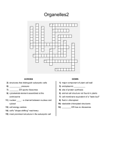 Organelles plant cell crossword puzzles 