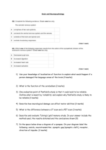 Brain and Neuropsychology