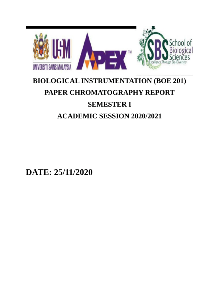 chromatography report.docx